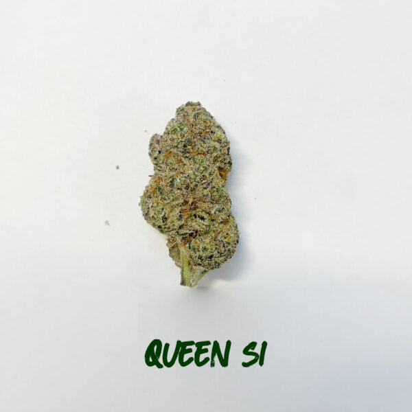 Queen S1  (THC 23 %)